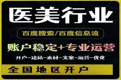 专业SEM服务公司案例分析报告